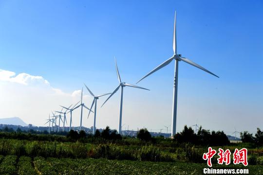 莆田沿海整齊的風(fēng)力發(fā)電設(shè)備?！⊥鯑|明 攝