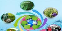 我國(guó)將開(kāi)展燃煤耦合生物質(zhì)發(fā)電<font color=