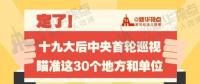 定了！華電集團、中核集團將接受十九屆中央第一輪巡視