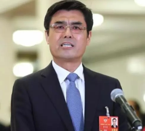 舒印彪講的故事：巴西這條特高壓造福2200萬(wàn)人！