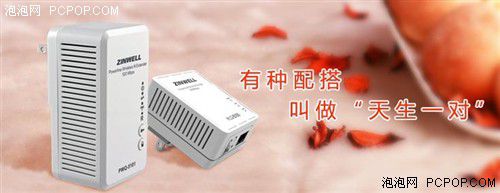 電力貓的版本眾多，從電力線傳輸技術(shù)上就可以分為HomePlug和G.hn，采用相同電力線通信技術(shù)的電力貓還可以分為有線電力貓和無線電力貓，而在無線電力貓中還有無線AP和無線路由的區(qū)別。外觀功能上的區(qū)別就更大了，以ZINWELL為例，就先后推出了單口有線電力貓，帶電源延長線的電力貓，多口有線電力貓，電力貓無線路由器，無線AP電力貓，帶電源插座的電力貓等。