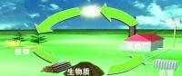生物質(zhì)是替代核電、火電 彌補(bǔ)天然氣缺口的一種重要新能源
