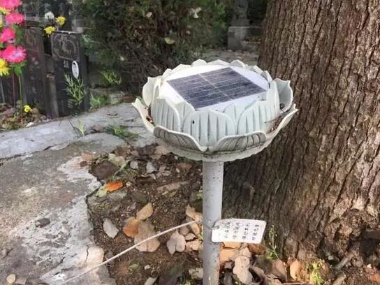 墓地傳來哭聲 周圍卻沒有人影 清明節(jié)你被光伏嚇著了嗎？