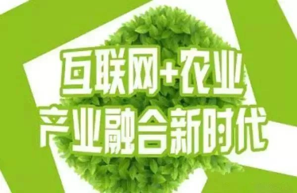互聯(lián)網(wǎng)+農(nóng)業(yè)，6大創(chuàng)業(yè)方向是…