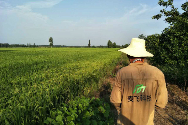 “AI+遙感”覬覦萬億級智慧農(nóng)業(yè)市場，這次沒有中間商賺差價 