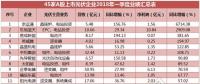 一季度45家光伏企業(yè)業(yè)績(jī)榜單登場(chǎng)：超八成飄紅，兩級(jí)分化現(xiàn)象嚴(yán)重