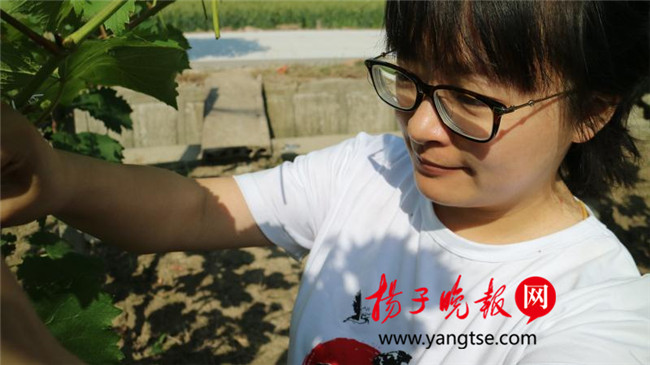 一個(gè)“80”后研究生的“綠色農(nóng)業(yè)夢(mèng)”：用“互聯(lián)網(wǎng)+”思維做農(nóng)業(yè)，新型職業(yè)農(nóng)民“潮”起來