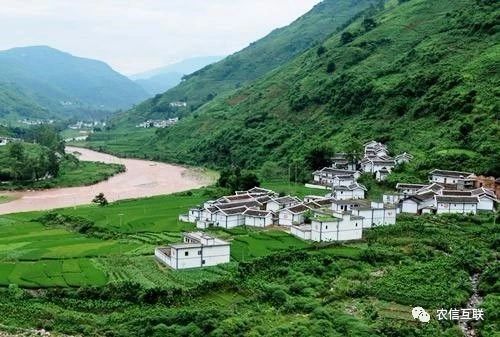移動(dòng)互聯(lián)網(wǎng)走進(jìn)農(nóng)村，推動(dòng)農(nóng)業(yè)產(chǎn)業(yè)的智慧化轉(zhuǎn)型升級(jí) 