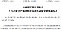 云南能投收購<font color=