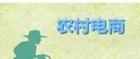 為何農(nóng)村電商這么火？未來3大看點隱藏千億級財富