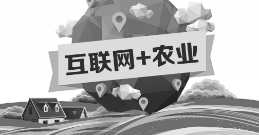 A5創(chuàng)業(yè)項(xiàng)目推薦：互聯(lián)網(wǎng)+農(nóng)業(yè)能碰撞出怎樣的新發(fā)展？