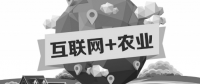 A5創(chuàng)業(yè)項(xiàng)目推薦：互聯(lián)網(wǎng)+農(nóng)業(yè)能碰撞出怎樣的新發(fā)展？