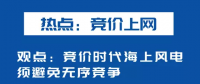 海上風(fēng)電如何應(yīng)對(duì)競(jìng)價(jià)上網(wǎng)、大功率研發(fā)、事故風(fēng)險(xiǎn)？