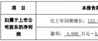 隆基、晶科齊發(fā)聲 “531”利大于弊？