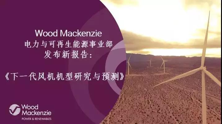 12-15MW+！歐洲“零補(bǔ)貼”海上風(fēng)場(chǎng)項(xiàng)目開(kāi)發(fā)主要選型