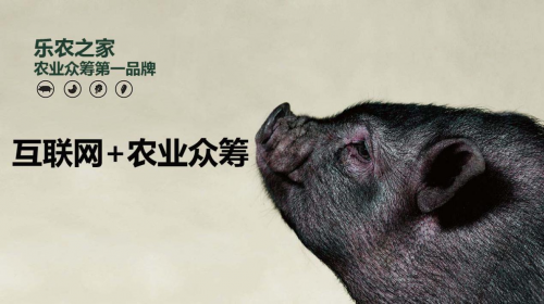 互聯(lián)網(wǎng)+農(nóng)業(yè)眾籌只賺吆喝 利潤(rùn)全被用戶(hù)拿走了？
