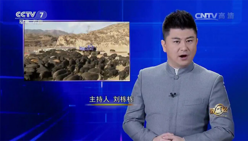 互聯(lián)網(wǎng)+農(nóng)業(yè)眾籌只賺吆喝 利潤(rùn)全被用戶(hù)拿走了？