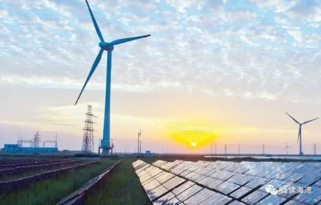 低價中標(biāo)？400MW風(fēng)電項目收到4份正式報價
