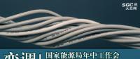 變調！國家能源局年中工作會透露出5方面變化