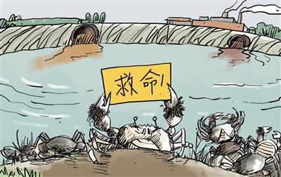 上游污水“毒死”萬畝大閘蟹，誰擔其責？