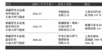 申能挺進(jìn)油氣上游