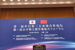 安倍晉三訪華 協(xié)鑫、天合和晶科為光伏行業(yè)長(zhǎng)臉了！