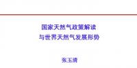 國(guó)家能源局原副局長(zhǎng)張玉清：國(guó)家天然氣政策解讀與世界天然氣發(fā)展形勢(shì)