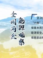 讀圖｜2020政府工作報告中這些內(nèi)容，和能源電力有關(guān)！