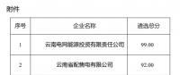 2025年云南電力市場(chǎng)保底售電公司候選名單公示！